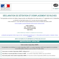 image illustrant l'article