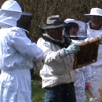 image illustrant l'article